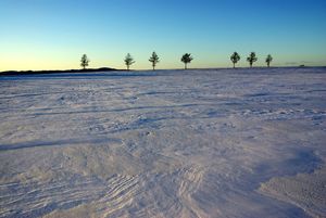 「까마귀」의 촬영지가 된 오조라정의 메르헨 언덕
