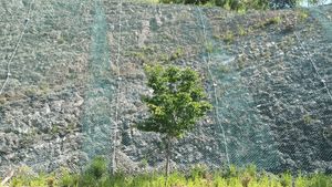 영동군 영동읍 설계리, 감고을요양병원(영동읍 대학로 106) 입구 도로변