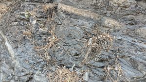 영동군 영동읍 매천리, 이수정 정자 아래