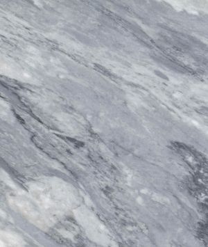 쥐라기 유래, 이탈리아, 카라라산 "Bardiglio". 이탈리아 등에서는 "대리석의 황제" 등으로 불린다. 원래 크기는 20 × 15 cm