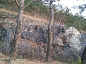 대구스타디움 남측 도로 사면의 노두대구광역시 수성구 노변동 650/685-1