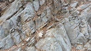 석개재의 두무골층 (상위 지층)