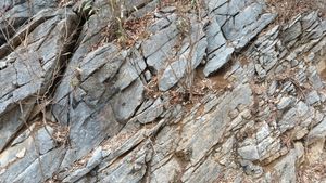 석개재의 두무골층