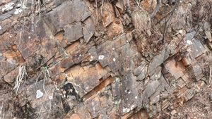 석개재의 두무골층 (하위 지층)