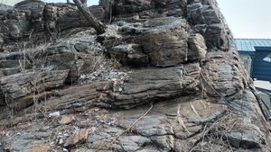 금진항 (강릉시)의 노두와 이를 관입한 암맥