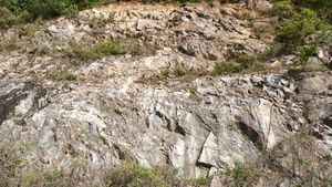 국도 제59호선 도로변의 편마암 노두, 문경시 동로면 마광리