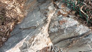 녹암층을 관입한 소규모 암맥