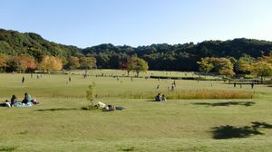 21세기의 숲과 광장