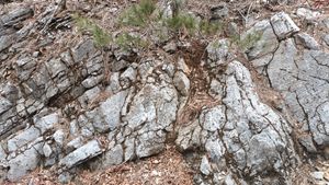 북위 37° 04′ 55.8″ 동경 129° 07′ 58.5″