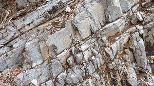 북위 37° 04′ 55.4″ 동경 129° 07′ 59.2″