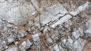 북위 37° 04′ 53.0″ 동경 129° 07′ 59.3″