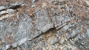 북위 37° 04′ 52.1″ 동경 129° 08′ 00.7″