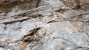 북위 37° 04′ 50.9″ 동경 129° 08′ 06.7″