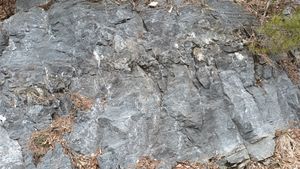 북위 37° 04′ 50.5″ 동경 129° 08′ 07.0″