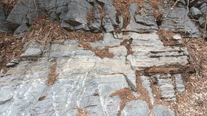 북위 37° 04′ 50.6″ 동경 129° 08′ 07.6″