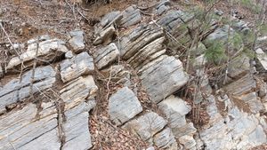 북위 37° 04′ 50.1″ 동경 129° 08′ 12.8″