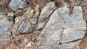 북위 37° 04′ 47.4″ 동경 129° 08′ 22.0″