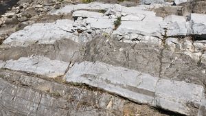 담회색과 암회색 지층이 교대로 나타난다.