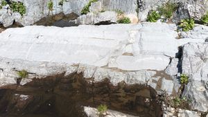 조선 누층군 막골층에 발달한 스트로마톨라이트