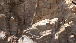 평안 누층군을 관입한 암맥