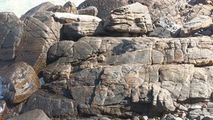 평안 누층군을 관입한 암맥