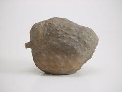 기원전 200년경 체리모야 (리마의 박물관)