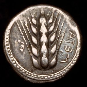 앞면: 여섯 개의 곡물이 박힌 밀 이삭. META