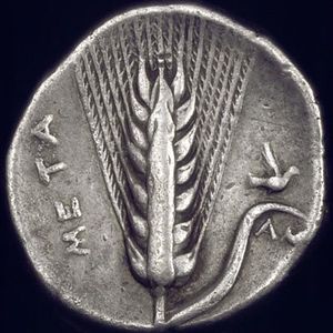 뒷면: 잎이 달린 밀 이삭, 새, 오른쪽 AMI. 왼쪽 META.