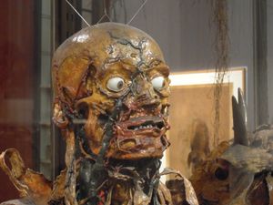 알포르 국립 수의과대학 프라고나르 박물관(Musée Fragonard d'Alfort)의 기이한 전시품