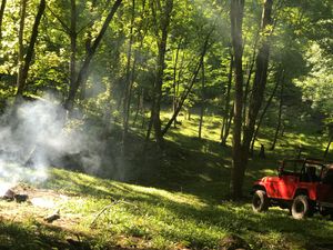 아몰의 알리메스탄