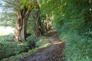 남부 림뷔르흐의 라벤스보스 길
