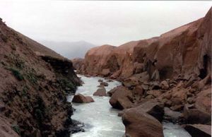 알래스카 주의 레테 강