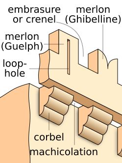 두 종류의 치상이 있는 주석 처리된 다이어그램