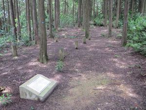 돌기둥 건물 터건물 기둥 8개를 표시.