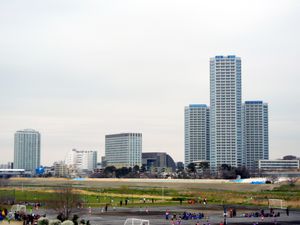 가나가와현 쪽의 다마 강강변에서 바라본 후타코타마가와.