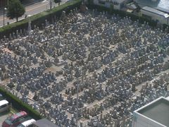 주택가에 둘러싸인 도시부의 묘지(아카시시)