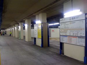 승강장 층 공사로 막힌 중앙 부분 (2010년 4월)