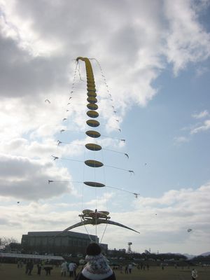 동요의 마을 연 날리기 축제 (효고현 다쓰노시)