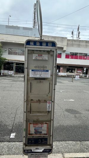 5번 승강장 버스 정류장