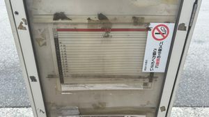 5번 승강장 토일 시간표