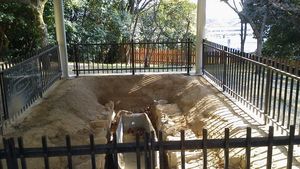 사츠키가오카 고분