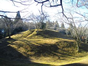 시바야마 고분군의 톤즈카