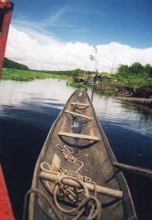 전통적인 봉고.