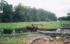 선외 모터가 장착된 강철 관광 뗏목