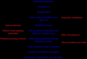 세포 기능에 대한 불충분한 관류의 영향