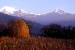 담푸스에서 바라본 안나푸르나 III봉과 마차푸차레