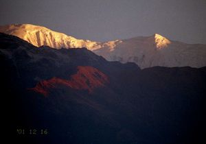 안나푸르나 연봉