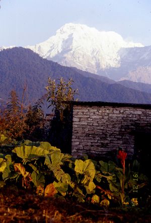 담푸스에서 바라본 안나푸르나 III봉과 마차푸차레