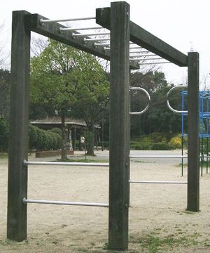 운제 (놀이 기구)1