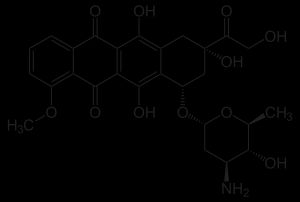 에피루비신: 유방암, 난소암, 위암, 폐암, 림프종에 사용